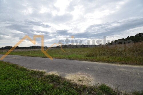 Thumbnail 6101503 - 2