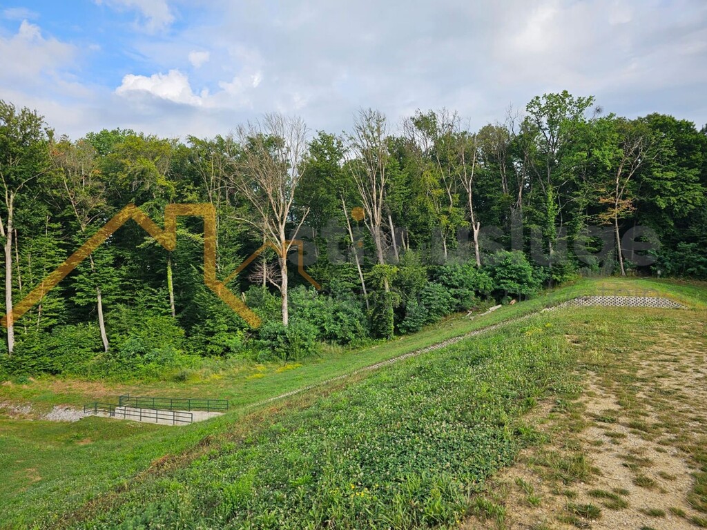 Image 6101505 - 1