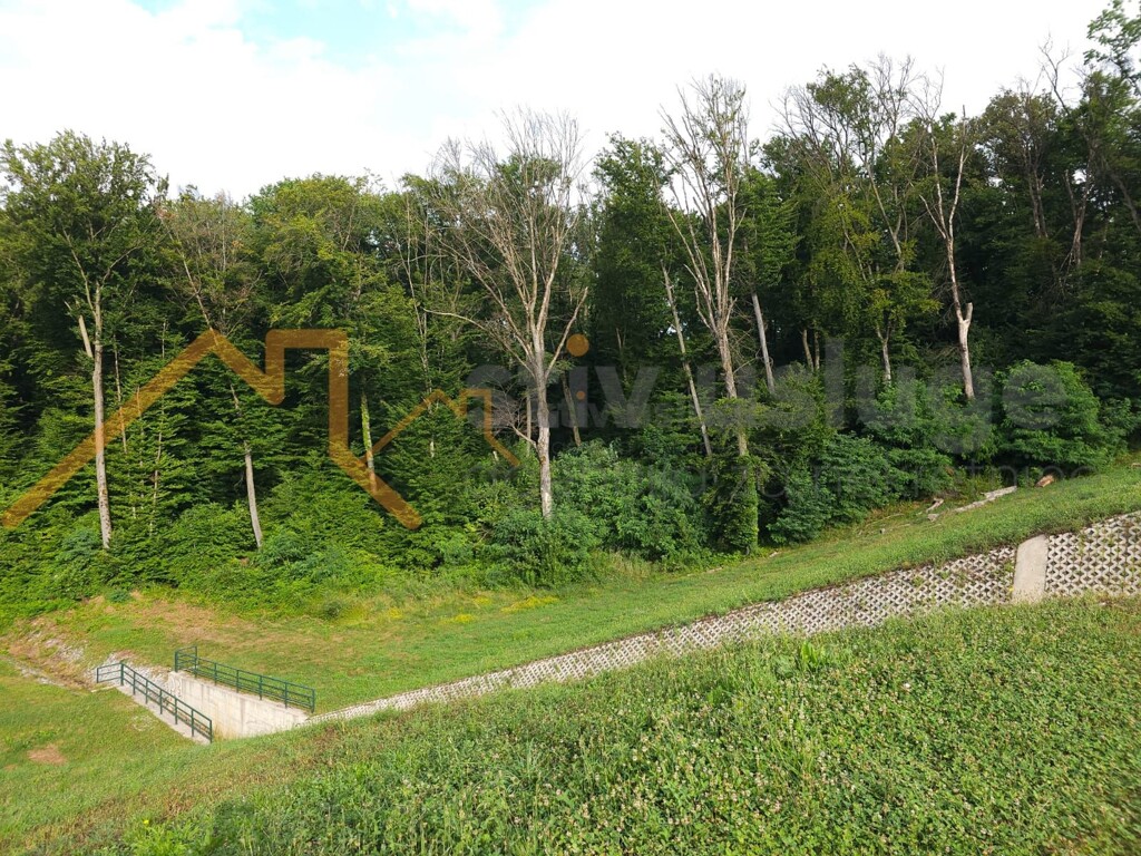 Image 6101505 - 3