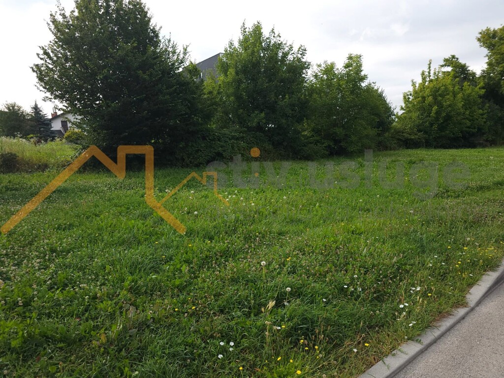 Image 6101507 - 2