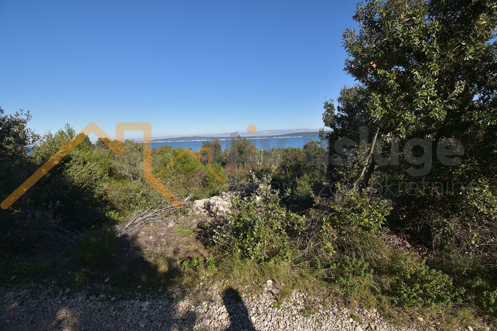 Image 6101509 - 1