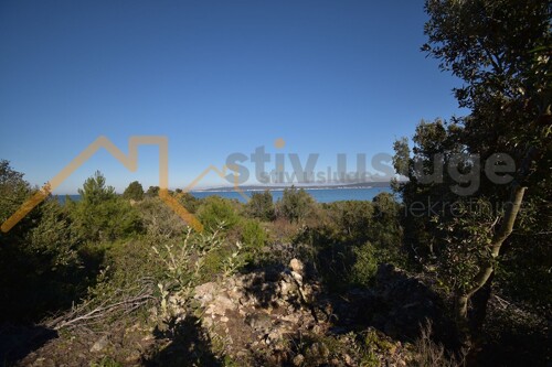 Thumbnail 6101509 - 4