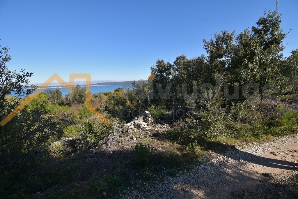 Image 6101509 - 3