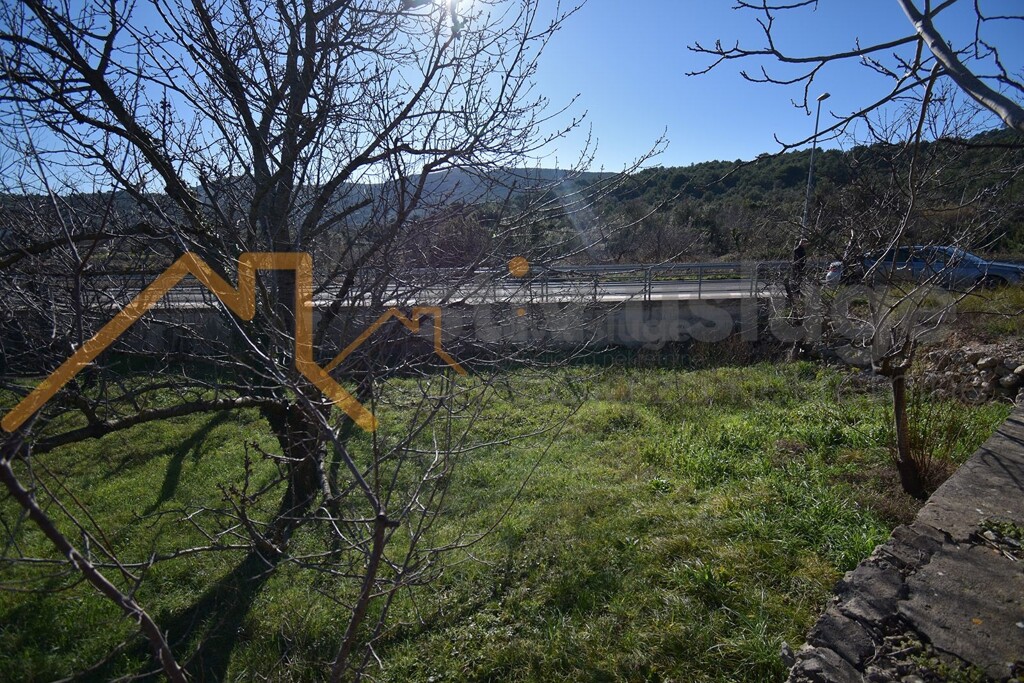 Image 6101514 - 6