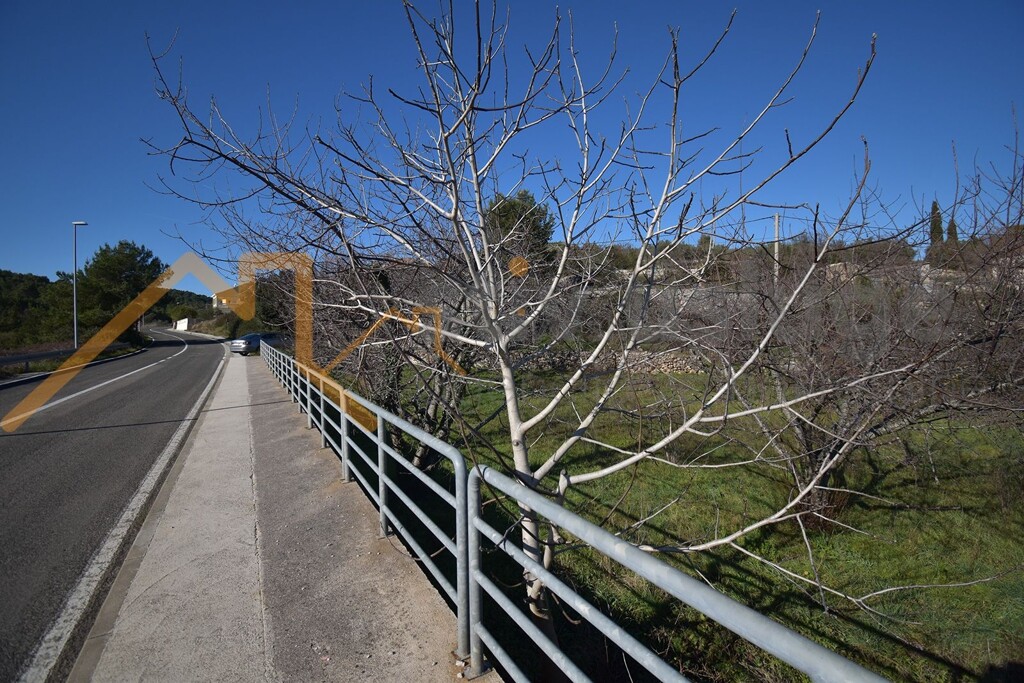 Image 6101514 - 1