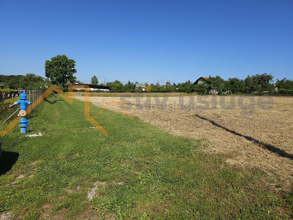 Image 6101516 - 2
