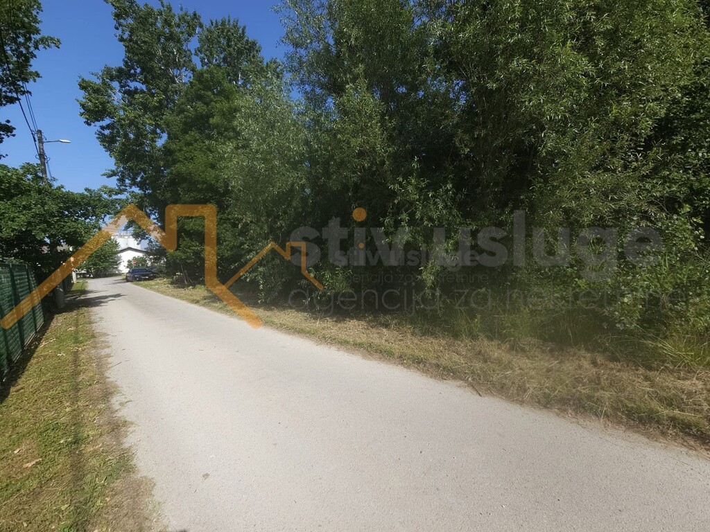 Image 6101517 - 2