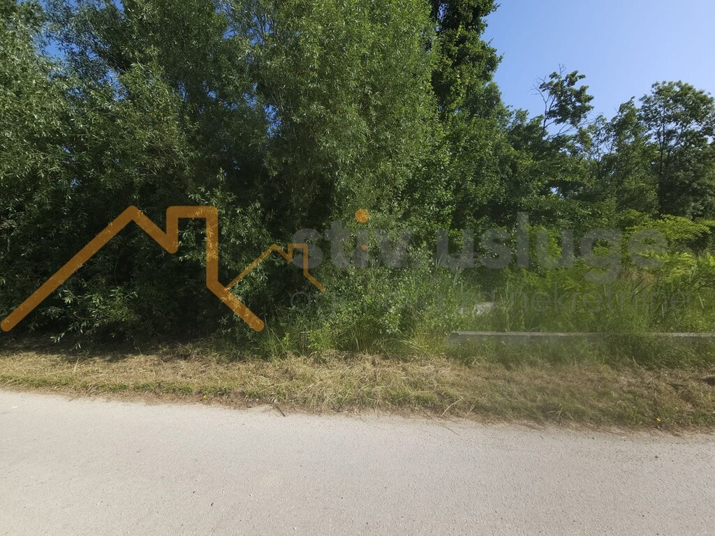 Image 6101517 - 3