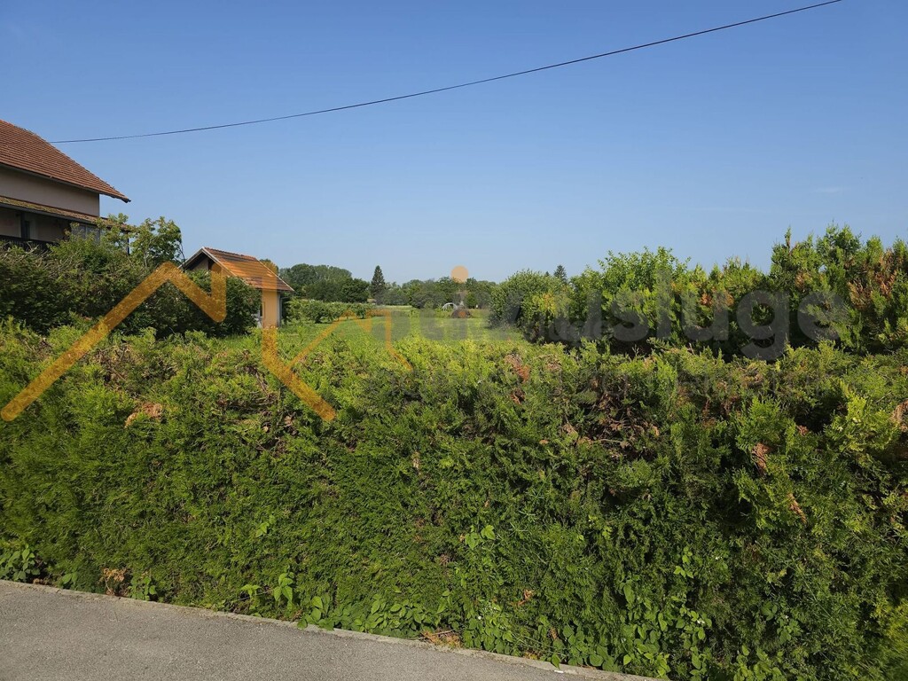 Image 6101518 - 4