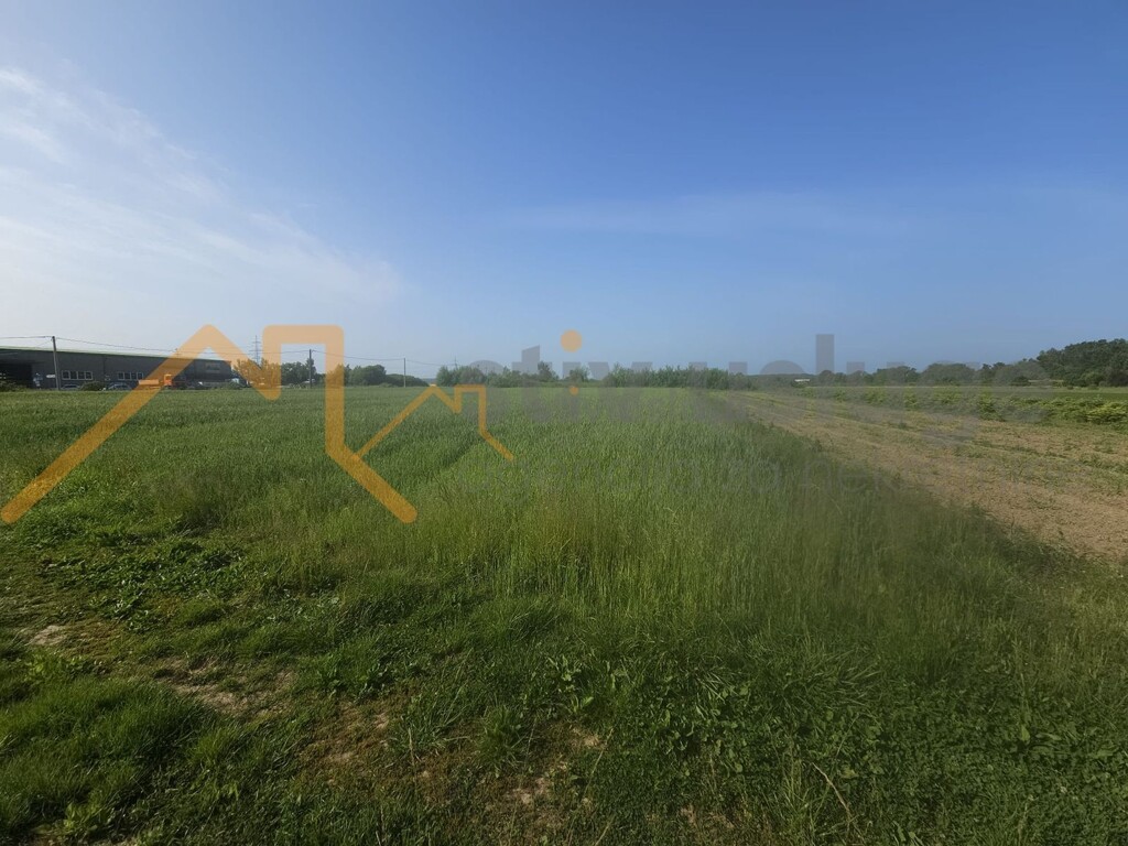 Image 6101519 - 3