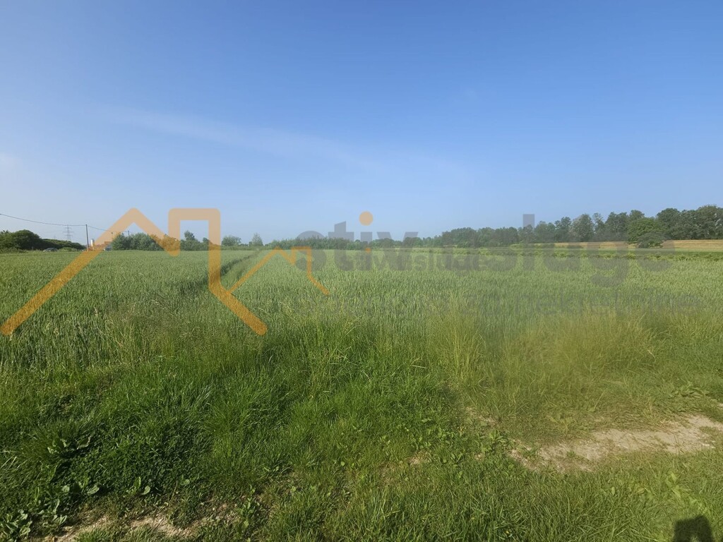 Image 6101519 - 2