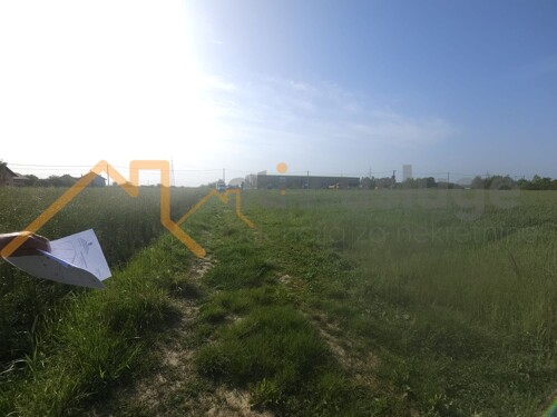 Thumbnail 6101519 - 4