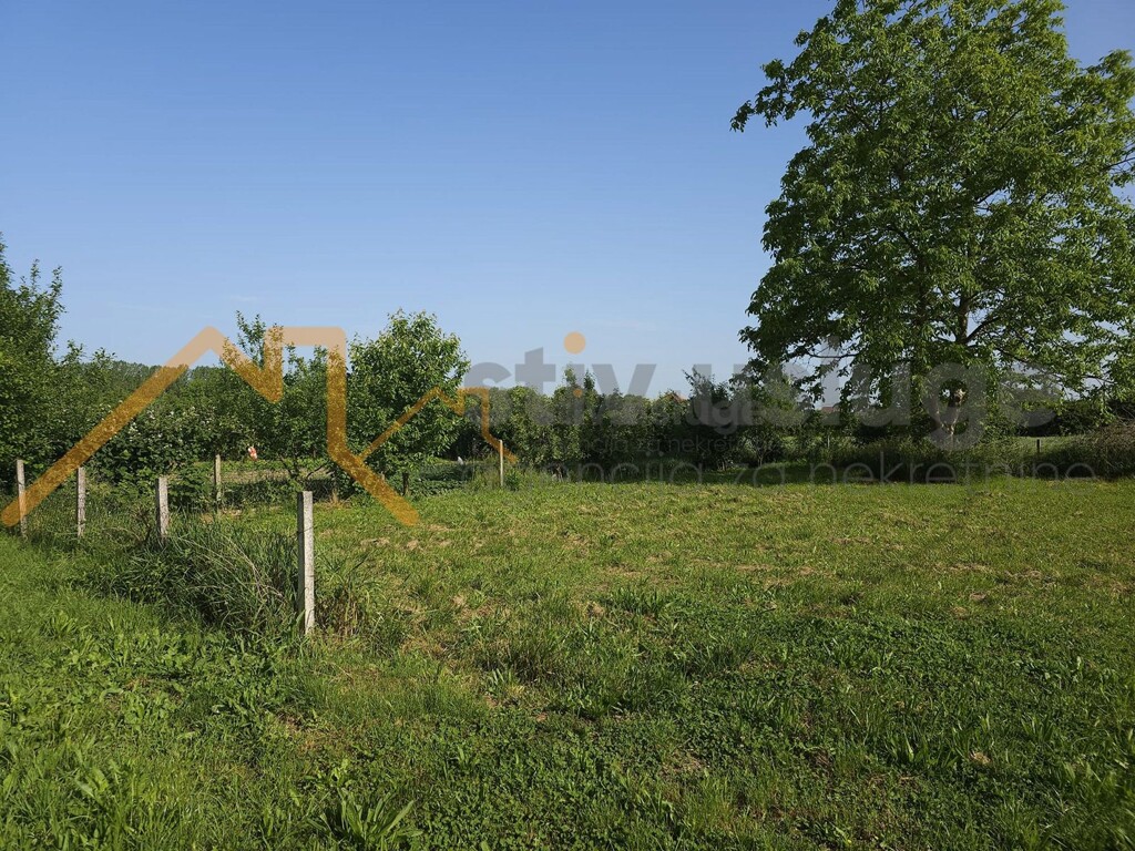 Image 6101521 - 5