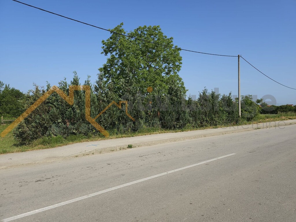 Image 6101521 - 1