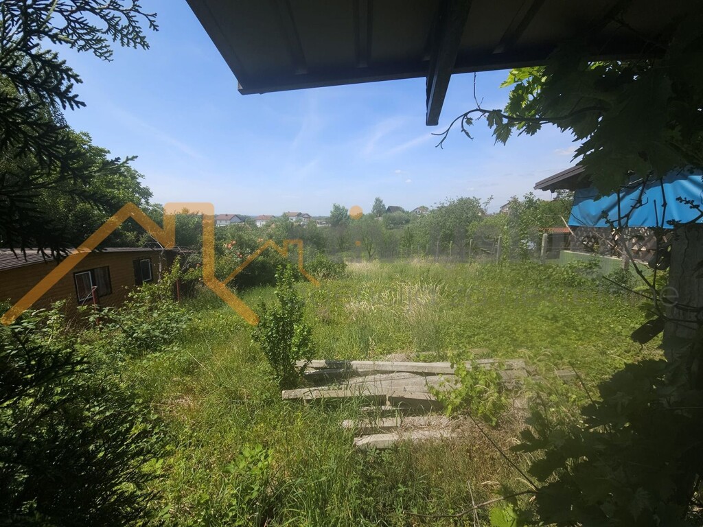 Image 6101526 - 6