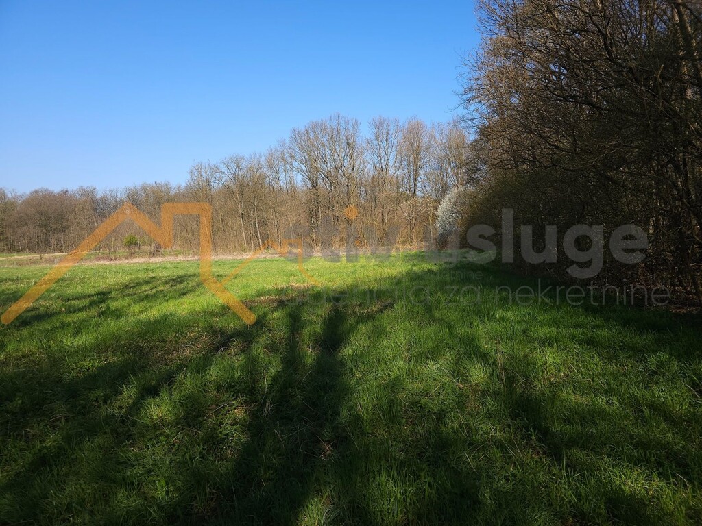 Image 6101532 - 3