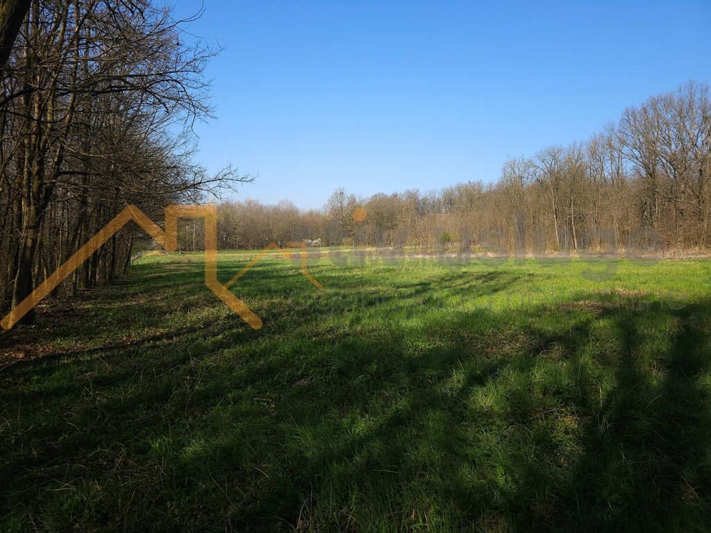 Image 6101532 - 4