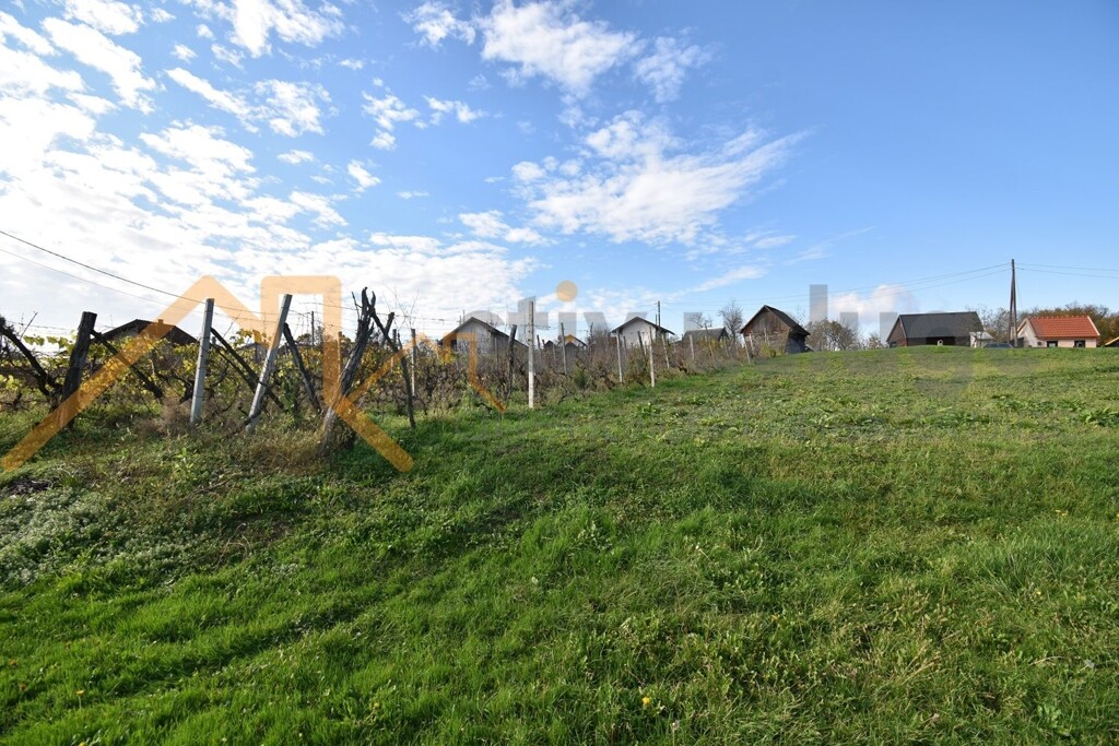 Image 6101533 - 4