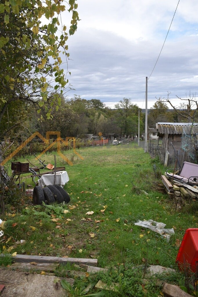 Image 6101543 - 5