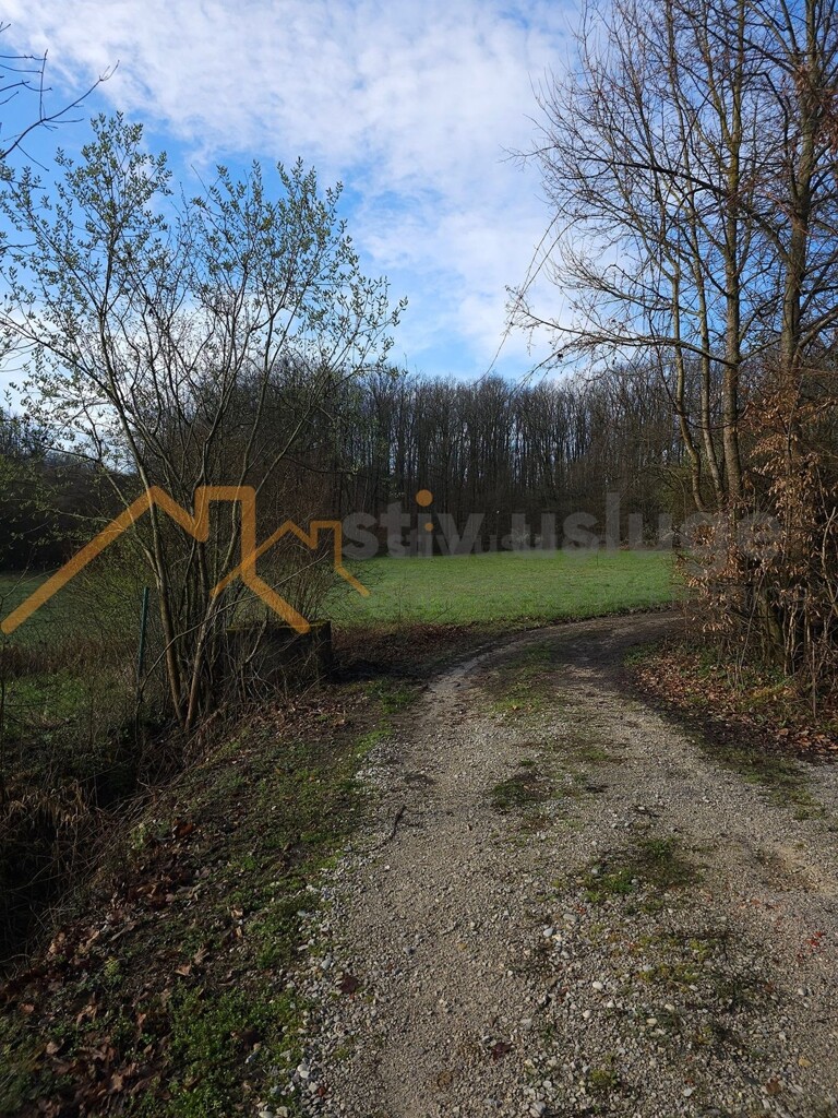 Image 6101551 - 1