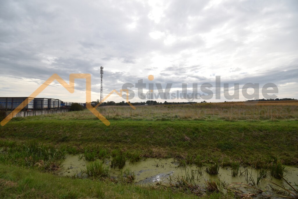 Image 6101554 - 4