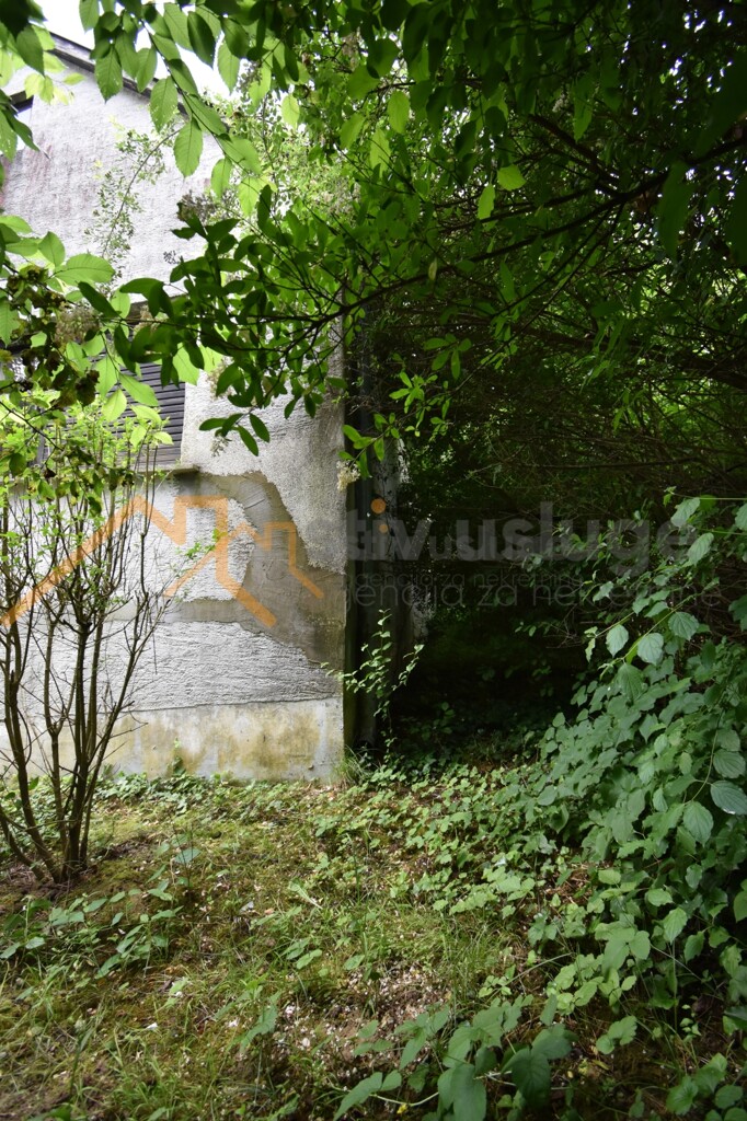 Image 6101569 - 4