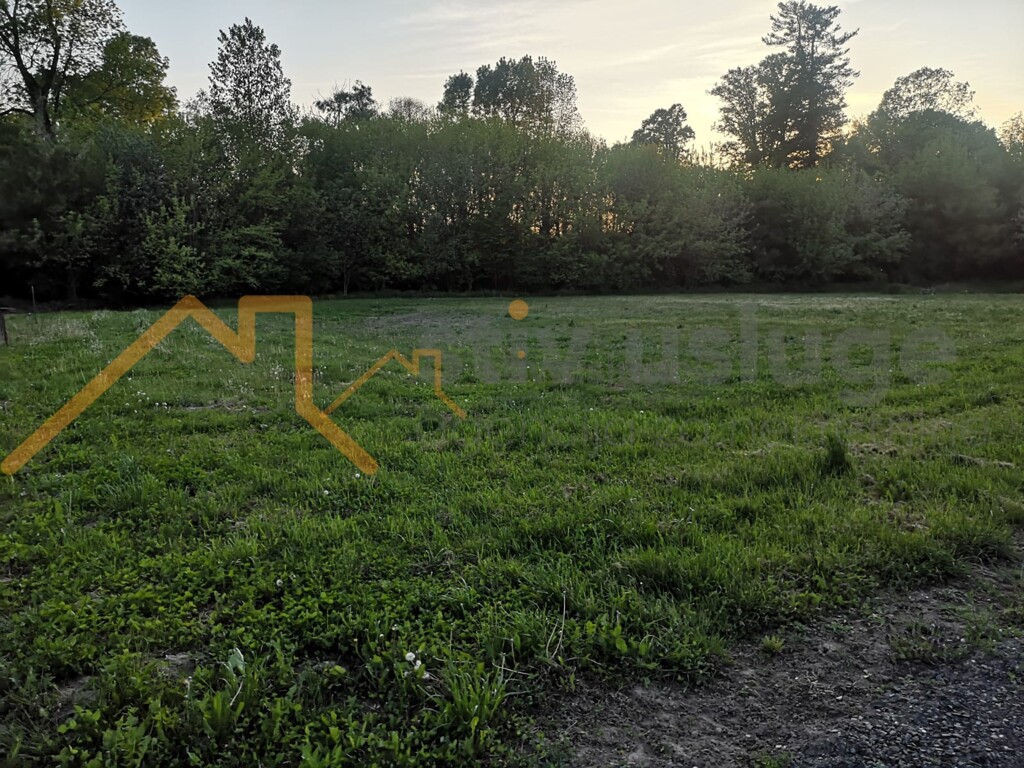 Image 6101576 - 1
