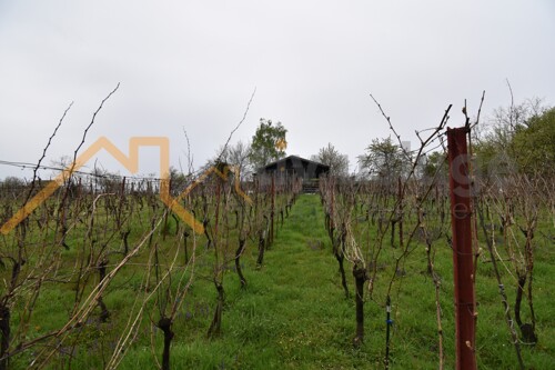 Thumbnail 6101586 - 7