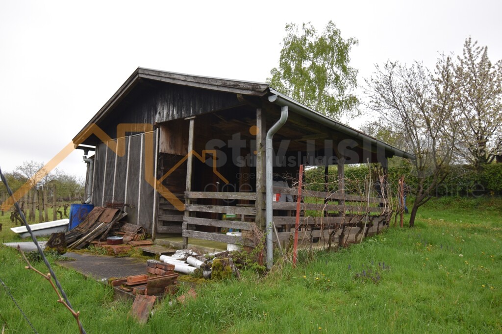 Image 6101586 - 2