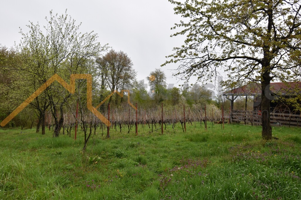 Image 6101586 - 4