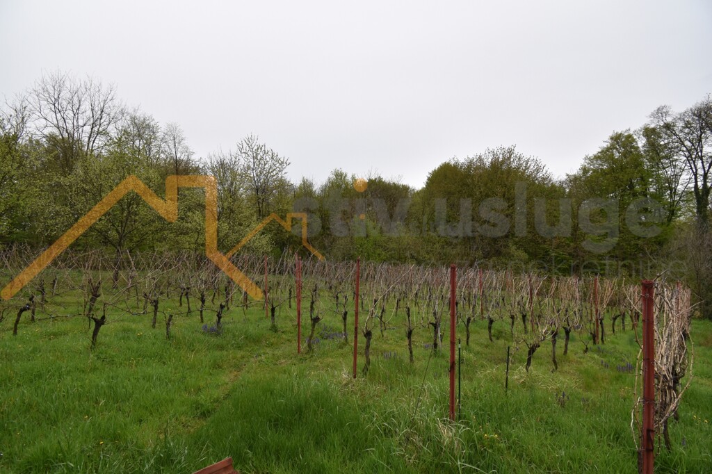 Image 6101586 - 6