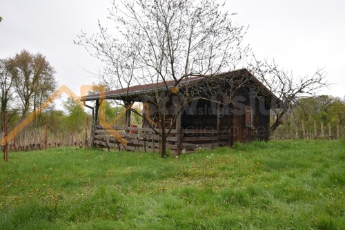 Thumbnail 6101586 - 3