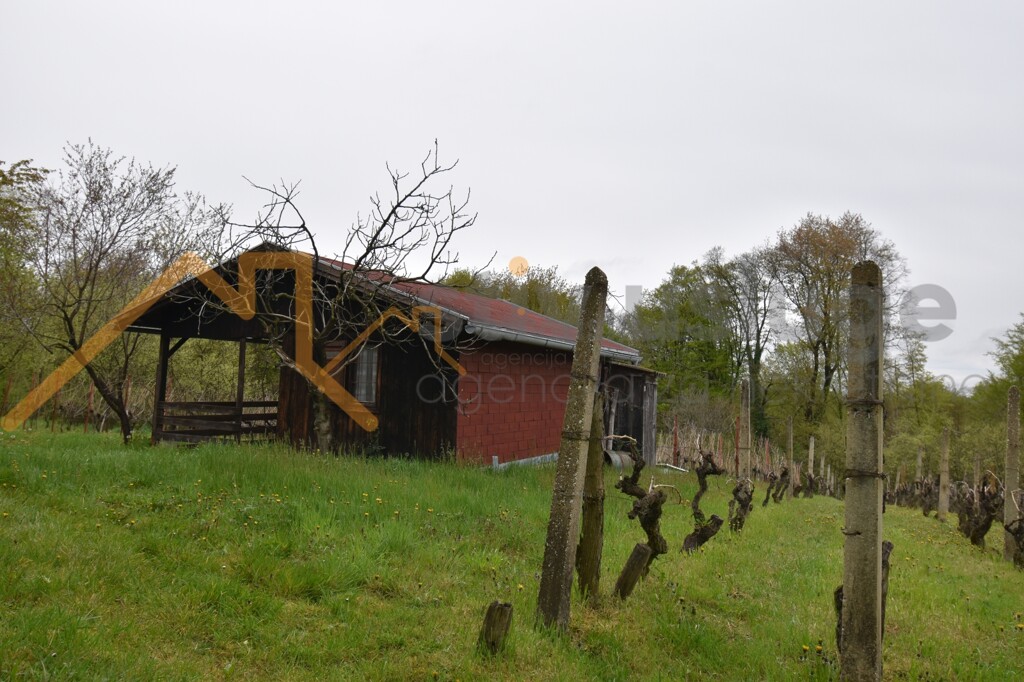 Image 6101586 - 1