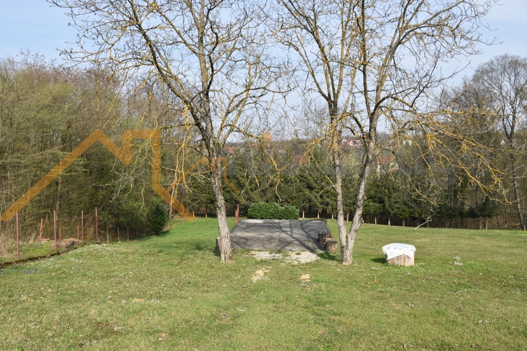 Image 6101587 - 2