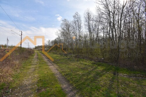 Thumbnail 6101589 - 3