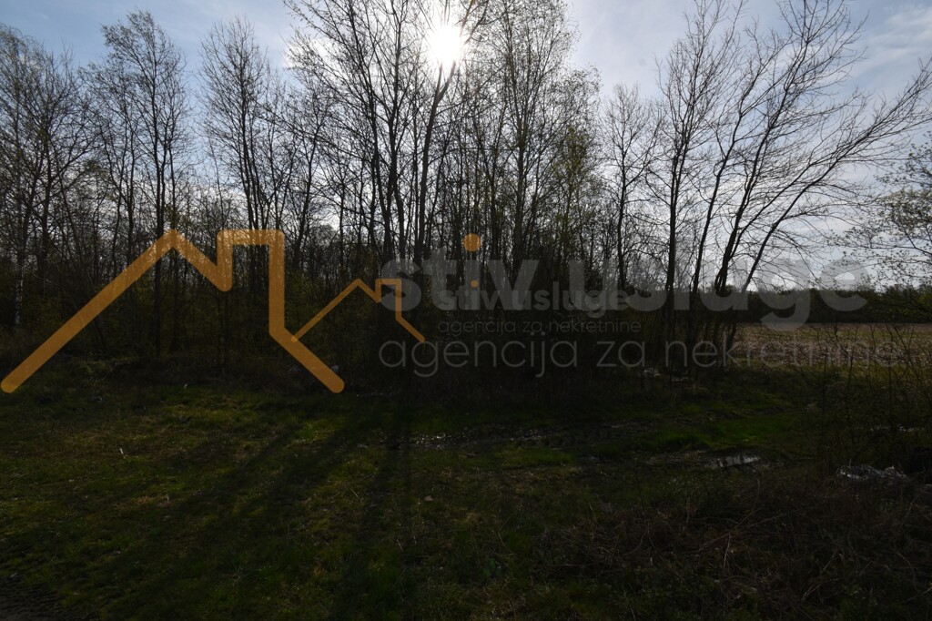 Image 6101589 - 4