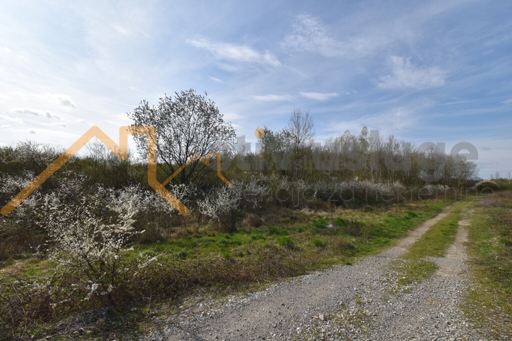 Image 6101589 - 1