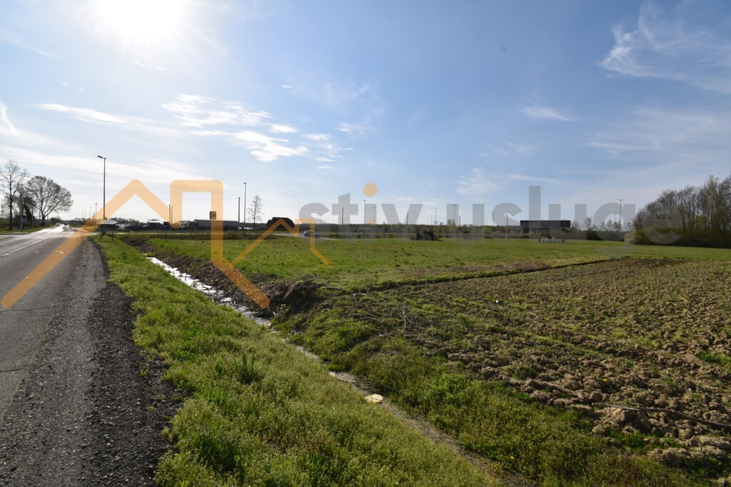 Image 6101590 - 3