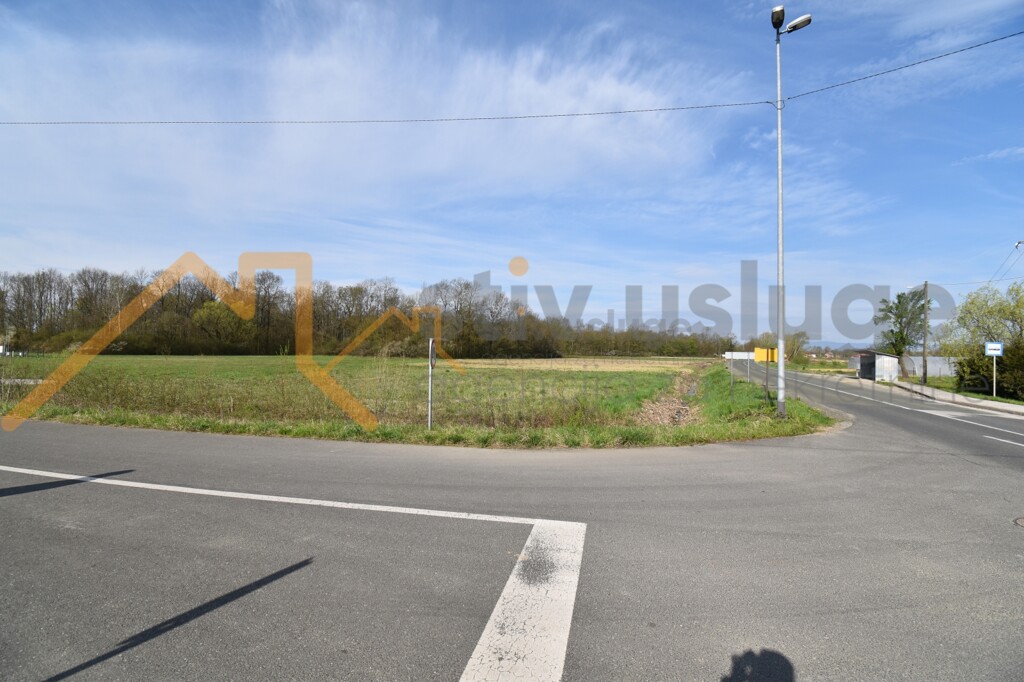 Image 6101590 - 1