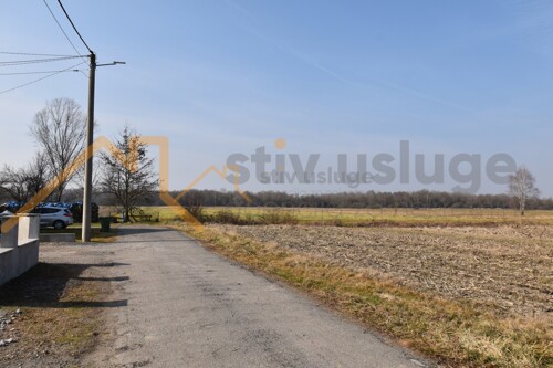 Thumbnail 6101595 - 4