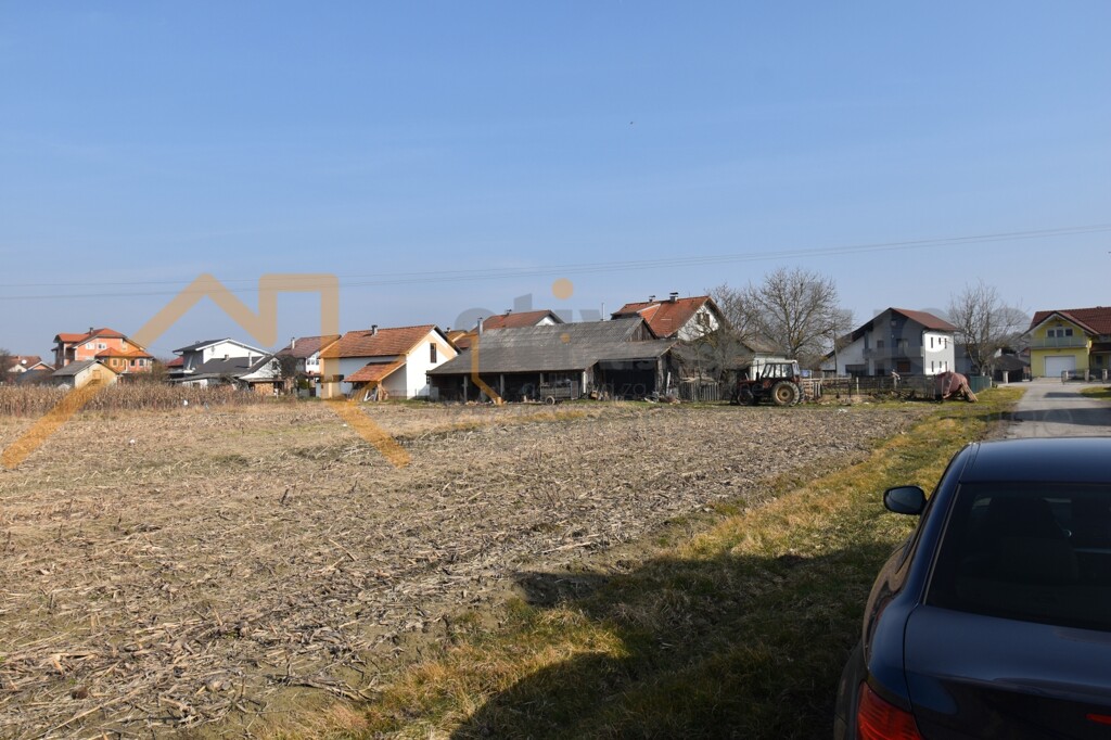 Image 6101595 - 1