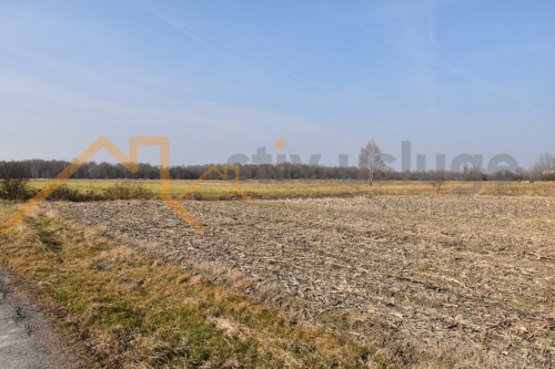 Thumbnail 6101595 - 3