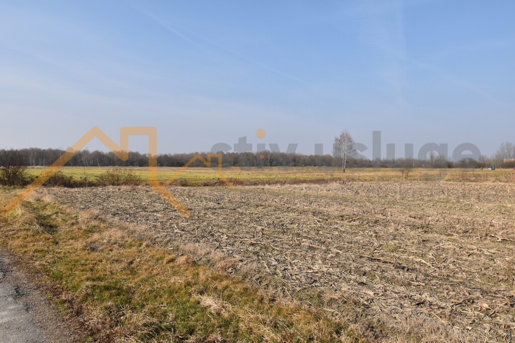 Image 6101595 - 3