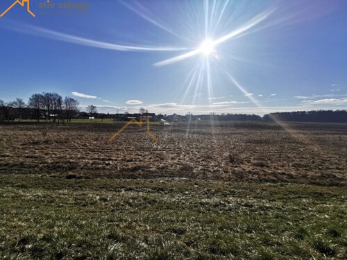 Thumbnail 6101603 - 6