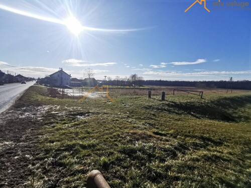 Thumbnail 6101603 - 3