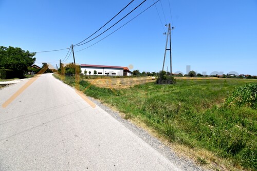 Thumbnail 6101606 - 3