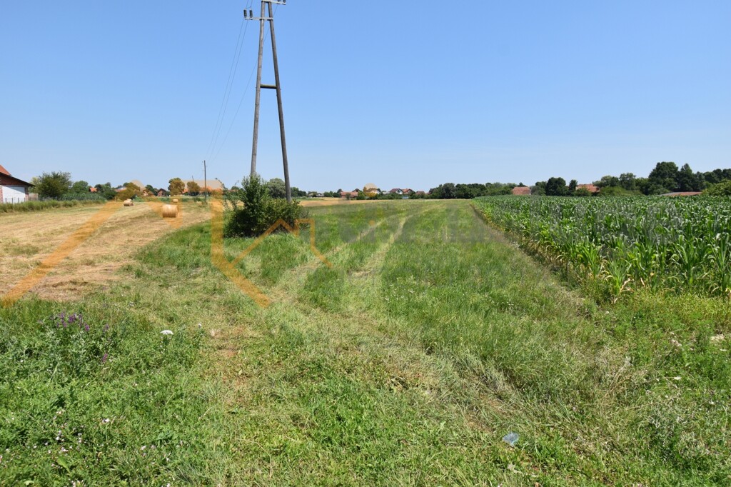 Image 6101606 - 4