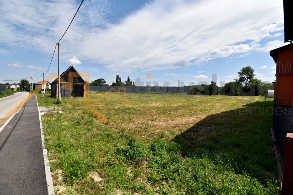 Image 6101607 - 3