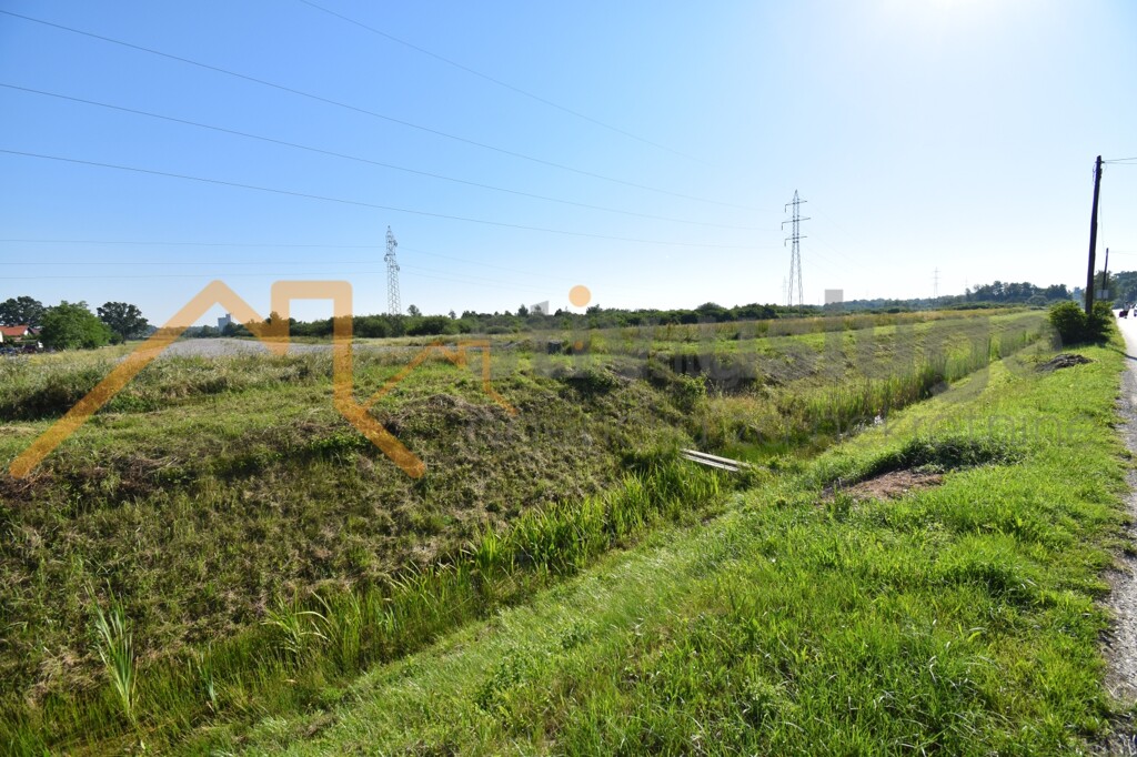 Image 6101609 - 3