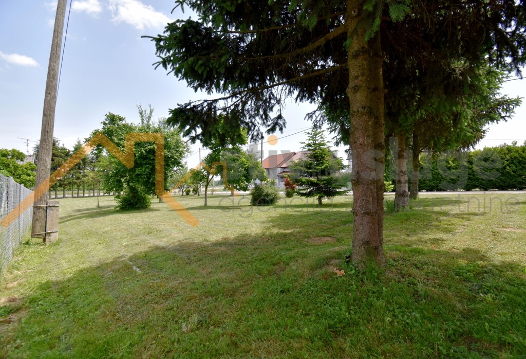 Image 6101615 - 2
